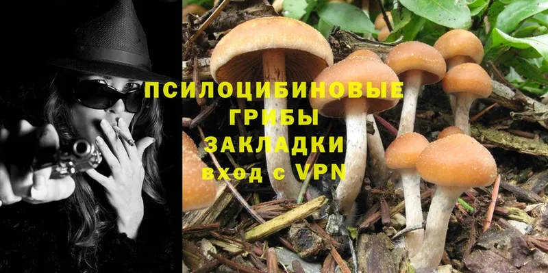 Галлюциногенные грибы Psilocybine cubensis  OMG ССЫЛКА  Лесосибирск 